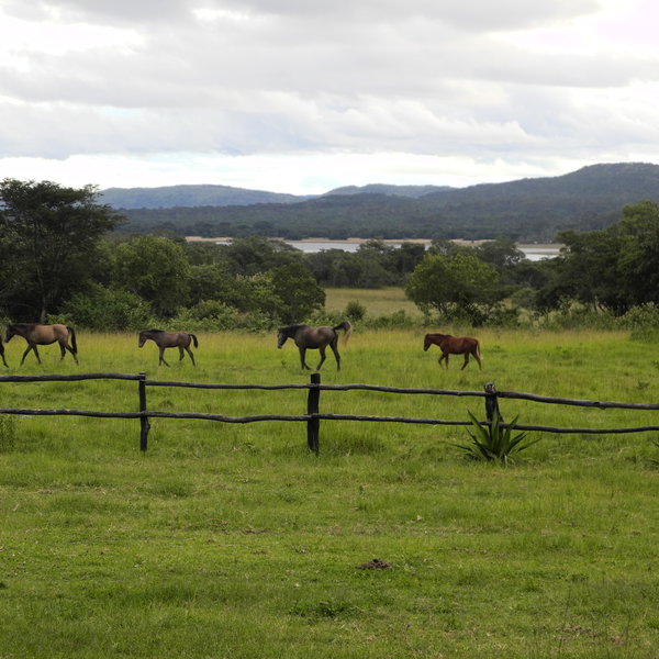 Impandala House