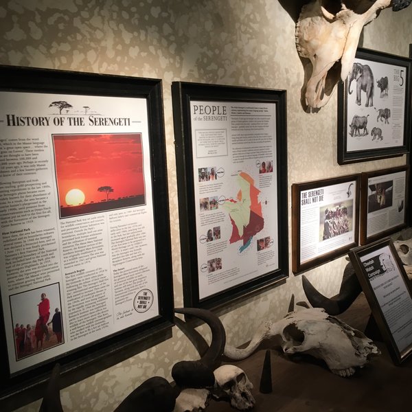 There's also a surprisingly good museum at the lodge...
