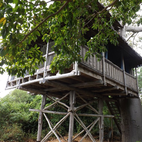 Chole Mjini Lodge