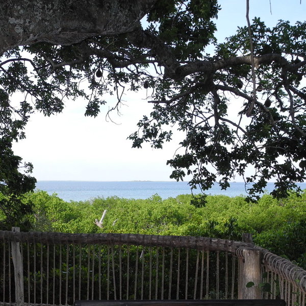 Chole Mjini Lodge