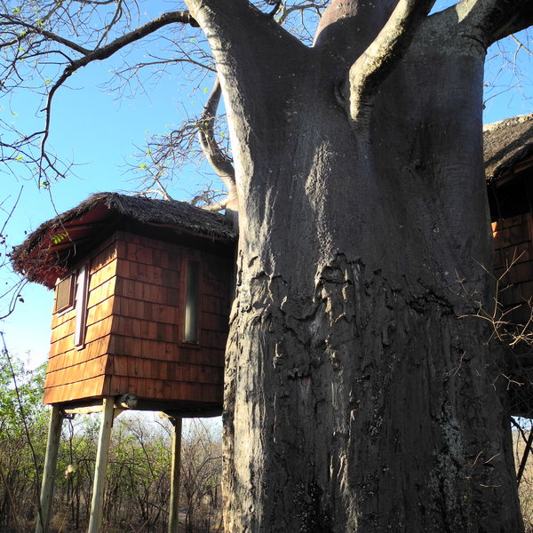 Each room here stands very high on its own stilts ...