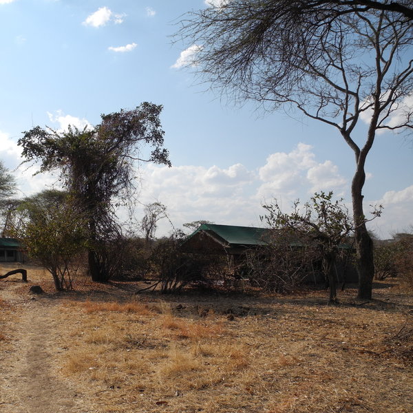 Mdonya Old River Camp