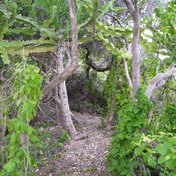 Chumbe Island Lodge