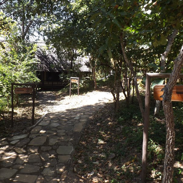 Vuma Hills