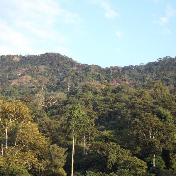 ...of the vast Udzungwa Mountains National Park.