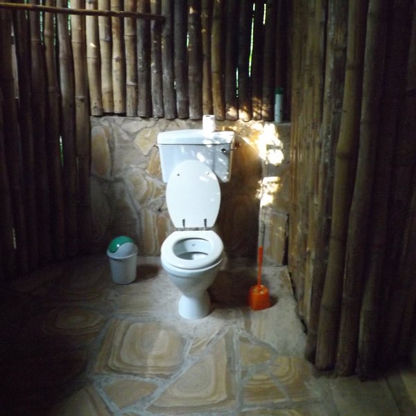 ...and flush toilet.
