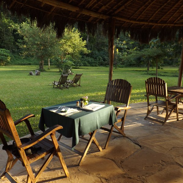 The restaurant overlooks the forest beyond...