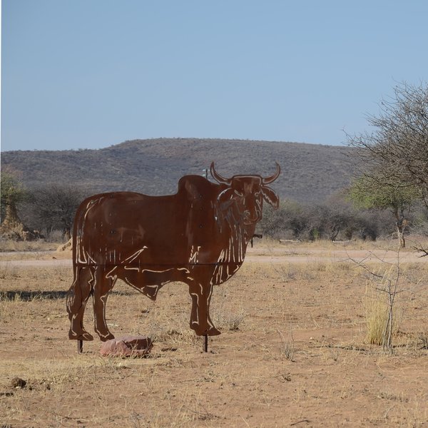Okonjima Plains Camp