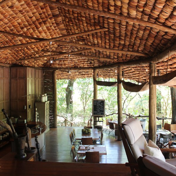 Lake Manyara Tree Lodge