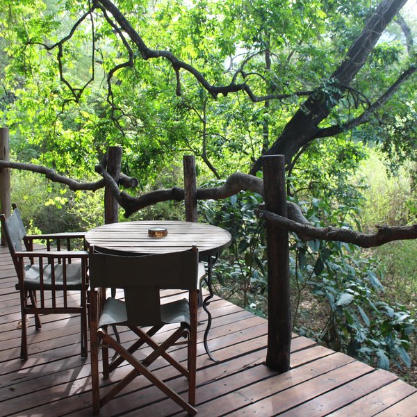 Lake Manyara Tree Lodge