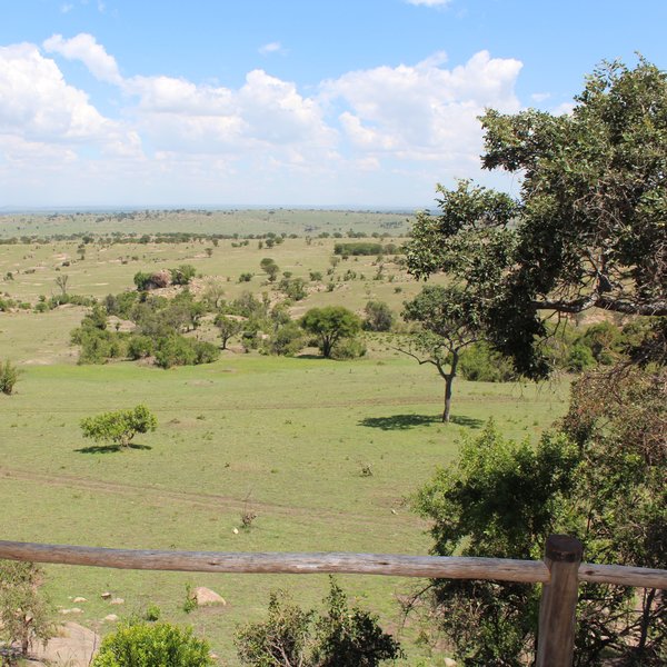 Lamai Serengeti