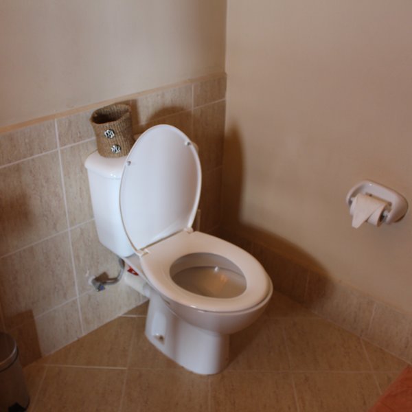 …with a flush toilet…