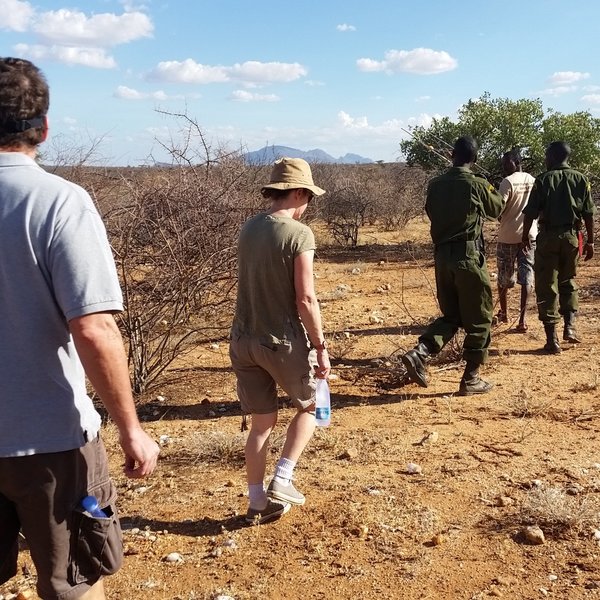 ... once you reach the rhino area you will spend most of your time walking through the bush...