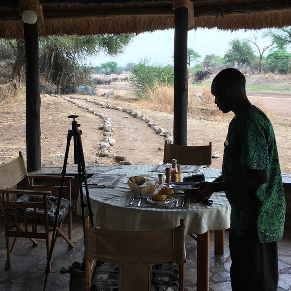 Ruaha River Lodge
