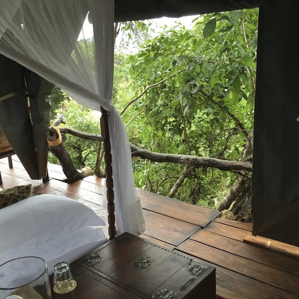 Beho Beho Tree-house