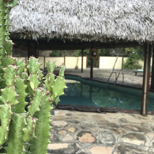 When the fierce sun shines, it's hot - so enjoy a dip in the pool...