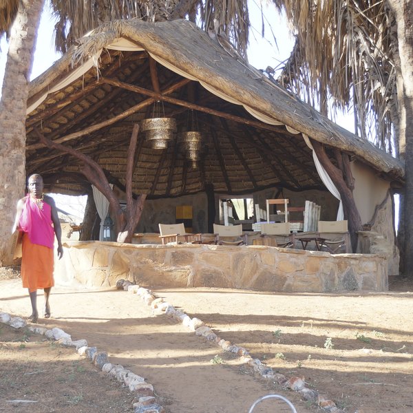 On arrival, you'll find Saruni Rhino is built in the shade of doum palms...