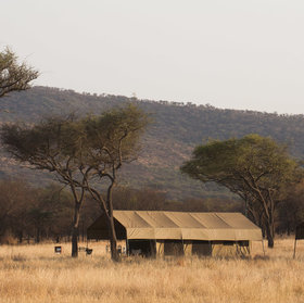 Ndutu Kati Kati is a seasonal tented camp in the southern Serengeti.