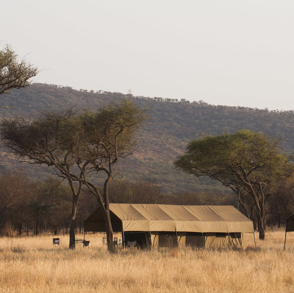 Ndutu Kati Kati is a seasonal tented camp in the southern Serengeti.