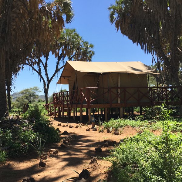 Elephant Bedroom