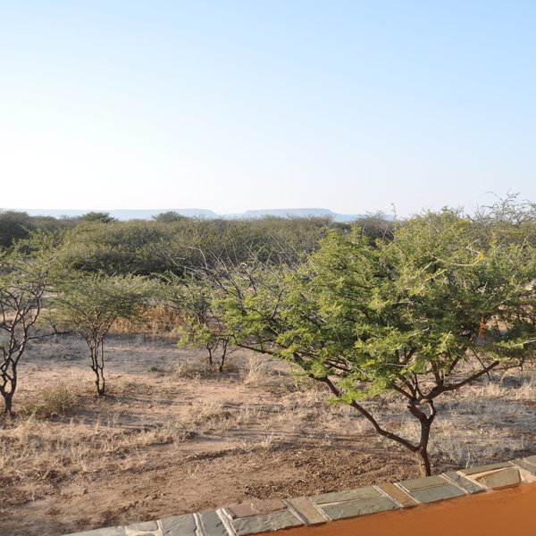 Cheetah View Lodge