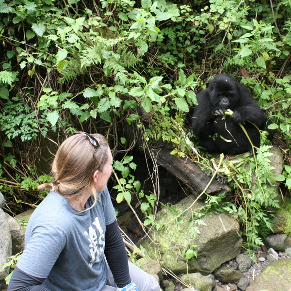 Mountain Gorilla View Lodge