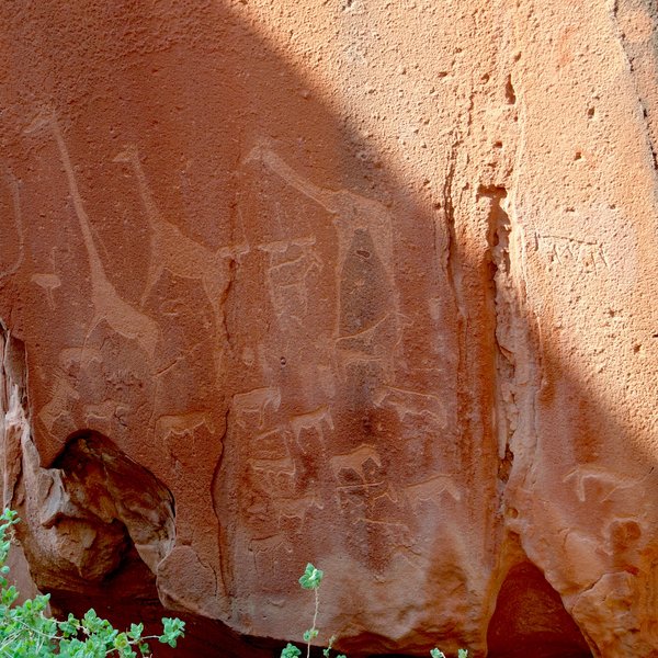...the striking bushman rock etchings...