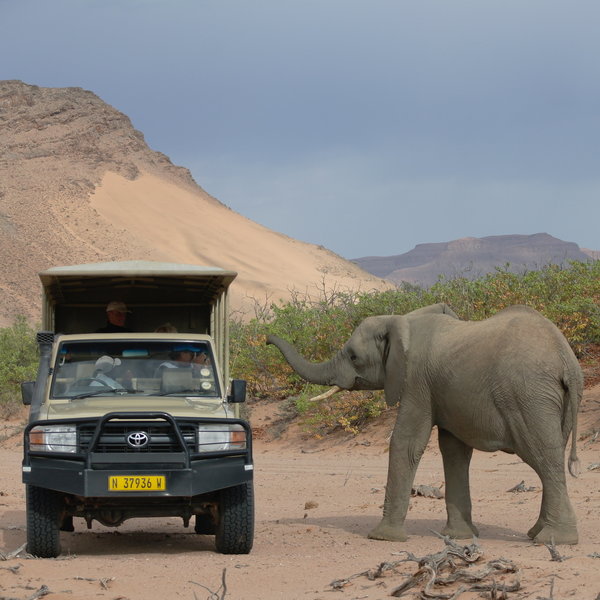 Mowani Mountain Camp