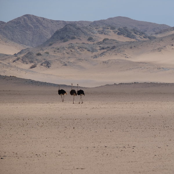 Damaraland Camp