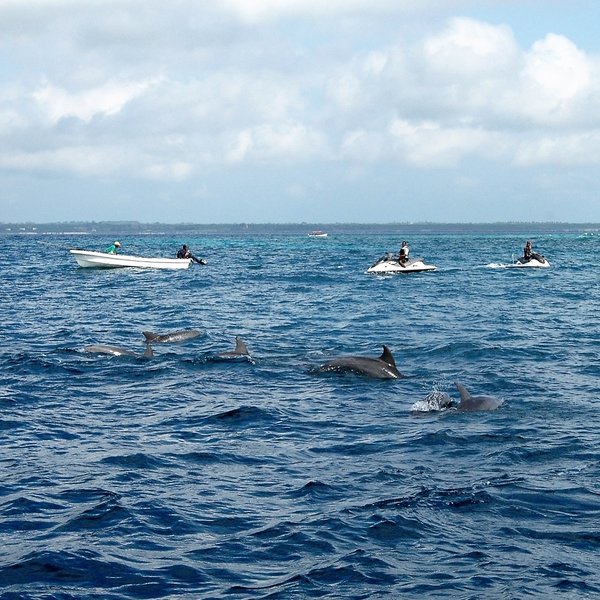 Mnemba Island Lodge