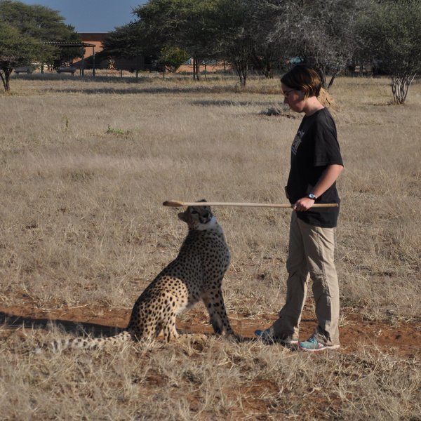 Cheetah View Lodge
