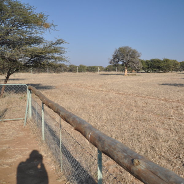 Cheetah View Lodge