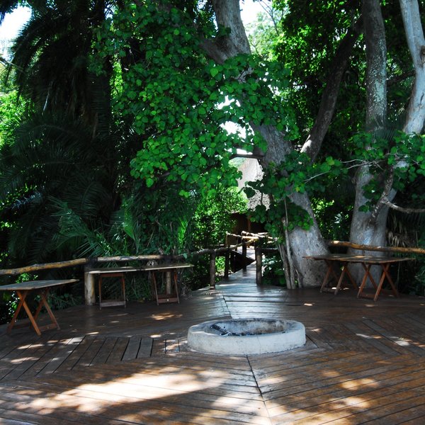 There is a large deck which is superb to enjoy the nature...