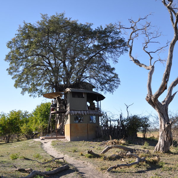 ...sometimes referred to as Jackalberry tower.