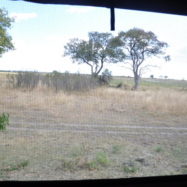 ...and keep a look out for other inhabitants of this National Park wandering past this unfenced camp.