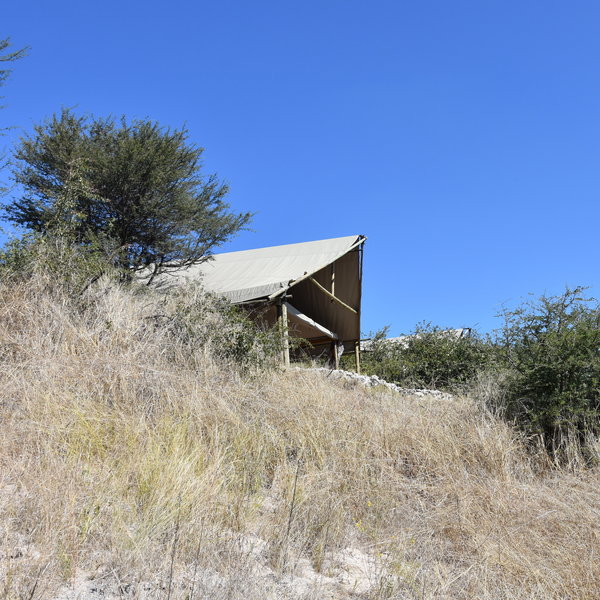 ...high up on the banks of the now flowing Boteti River.