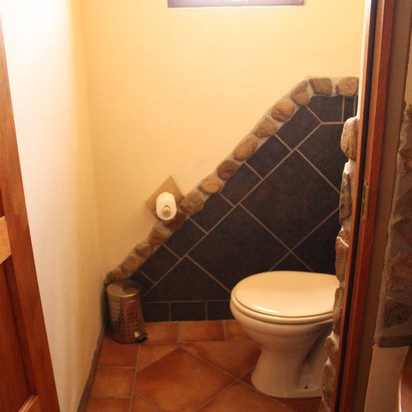 ...and a flush toilet.