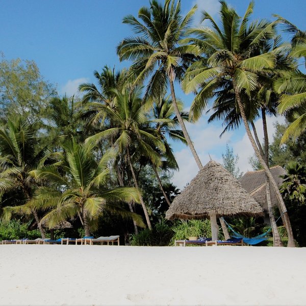 Pongwe Beach Hotel