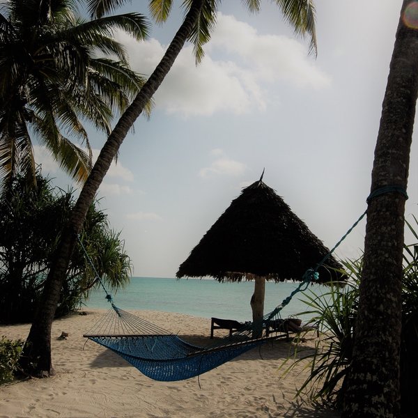 Pongwe Beach Hotel