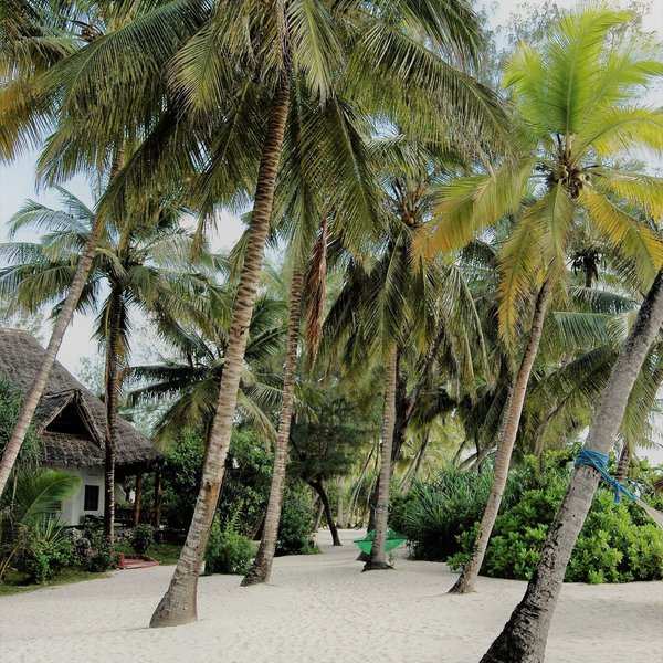 Pongwe Beach Hotel