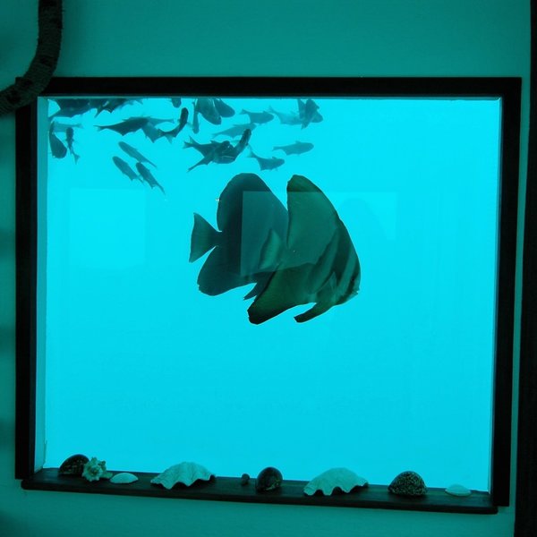 Manta Resort