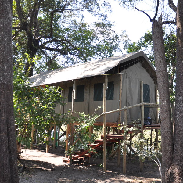 The tented suites are raised on stilts and include...