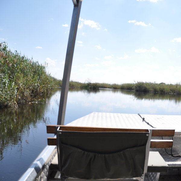 Activities include boat trips as well as...