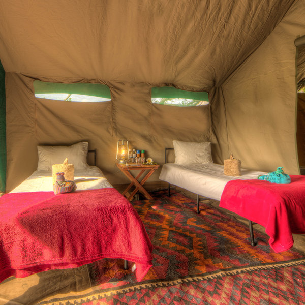 Botswana Private Mobile Safari