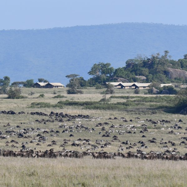 Nomad Serengeti Safari Camp