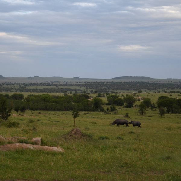 Mkombe's House Lamai