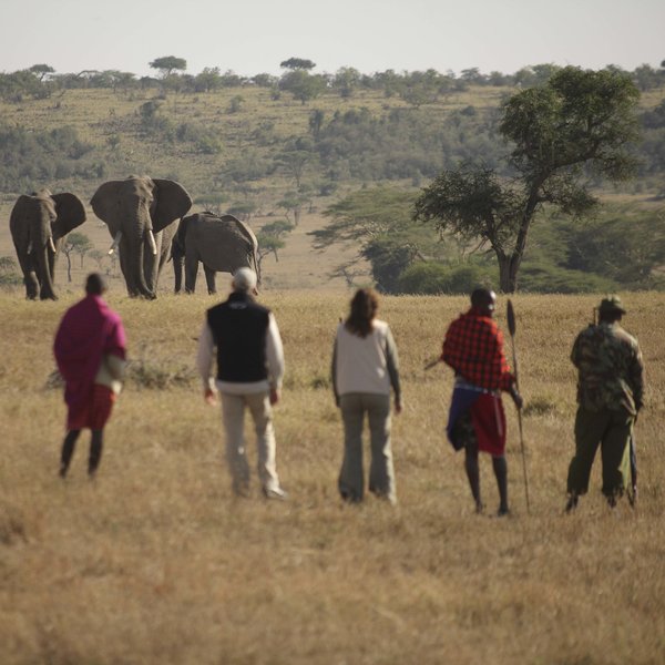 You won't very often have close encounters like this one…