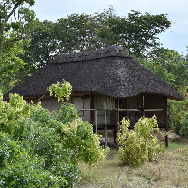 Khulu Ivory Lodge is located in a private concession just outside of Hwange National Park