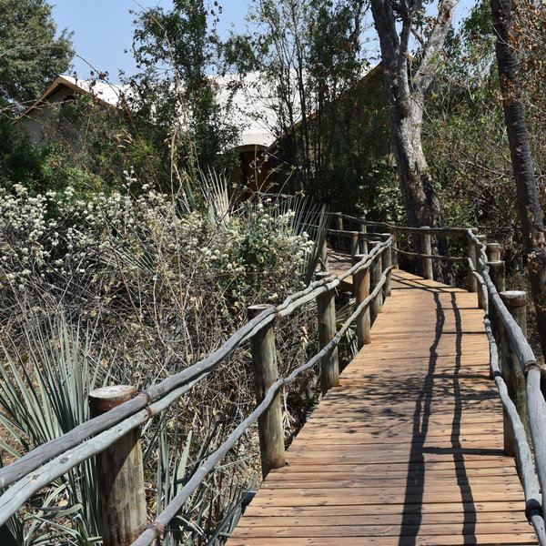 ...it is the sister camp to Tubu Tree Camp, they are separate but connected by raised walkways...