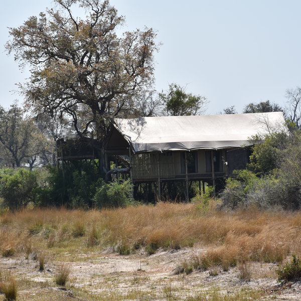 The chalets are the same spec as at Tubu Tree, apart from one honeymoon chalet with an extra deck.